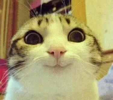 万圣节“脱单”指南：2019年最值得期待的恐怖片抢先看！