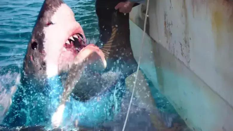 万圣节“脱单”指南：2019年最值得期待的恐怖片抢先看！