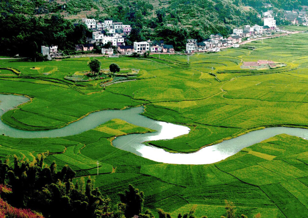 广西巴马长寿之乡火麻功效,巴马长寿火麻