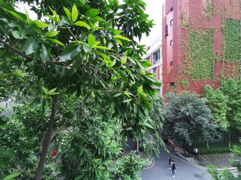 华为mate20测评拼多多,华为mate20缺点测评