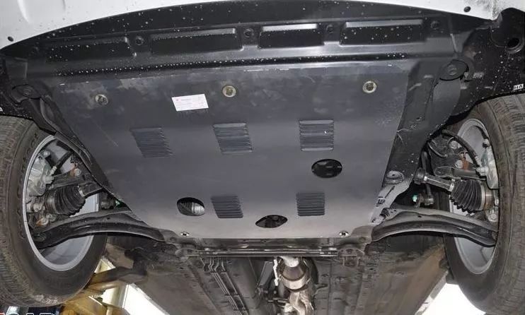 传递正能量请善待保护动物,不能被忽视猫咪的5个救命信号