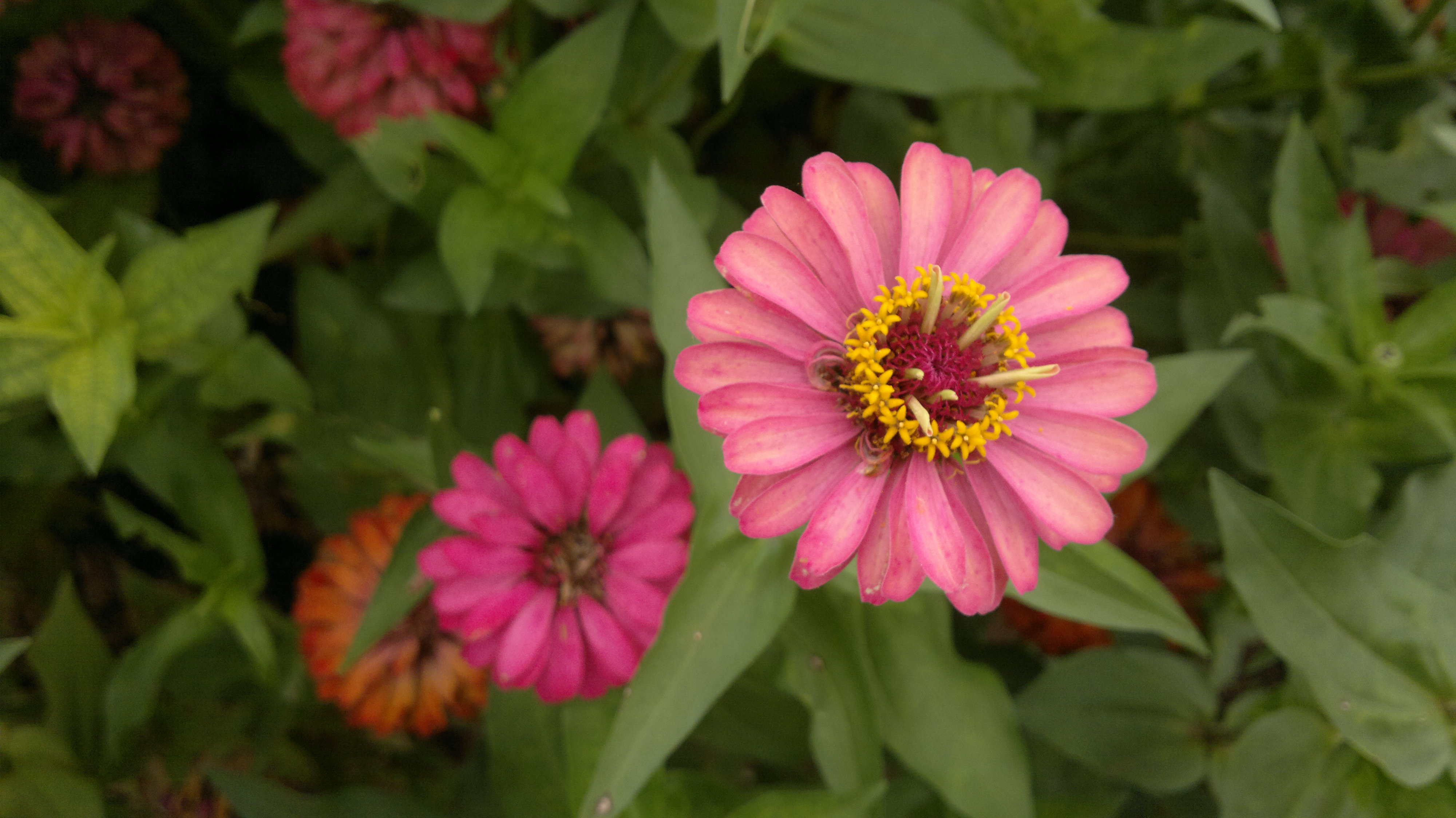 小米mix3能录屏幕吗,诺基亚mix3