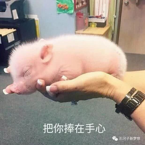 人去世阴间有七道关卡,人死后会去到哪一道灵界