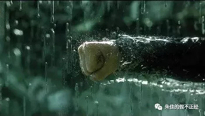 明明想做孩子的神助攻，怎么偏偏成了Z队友