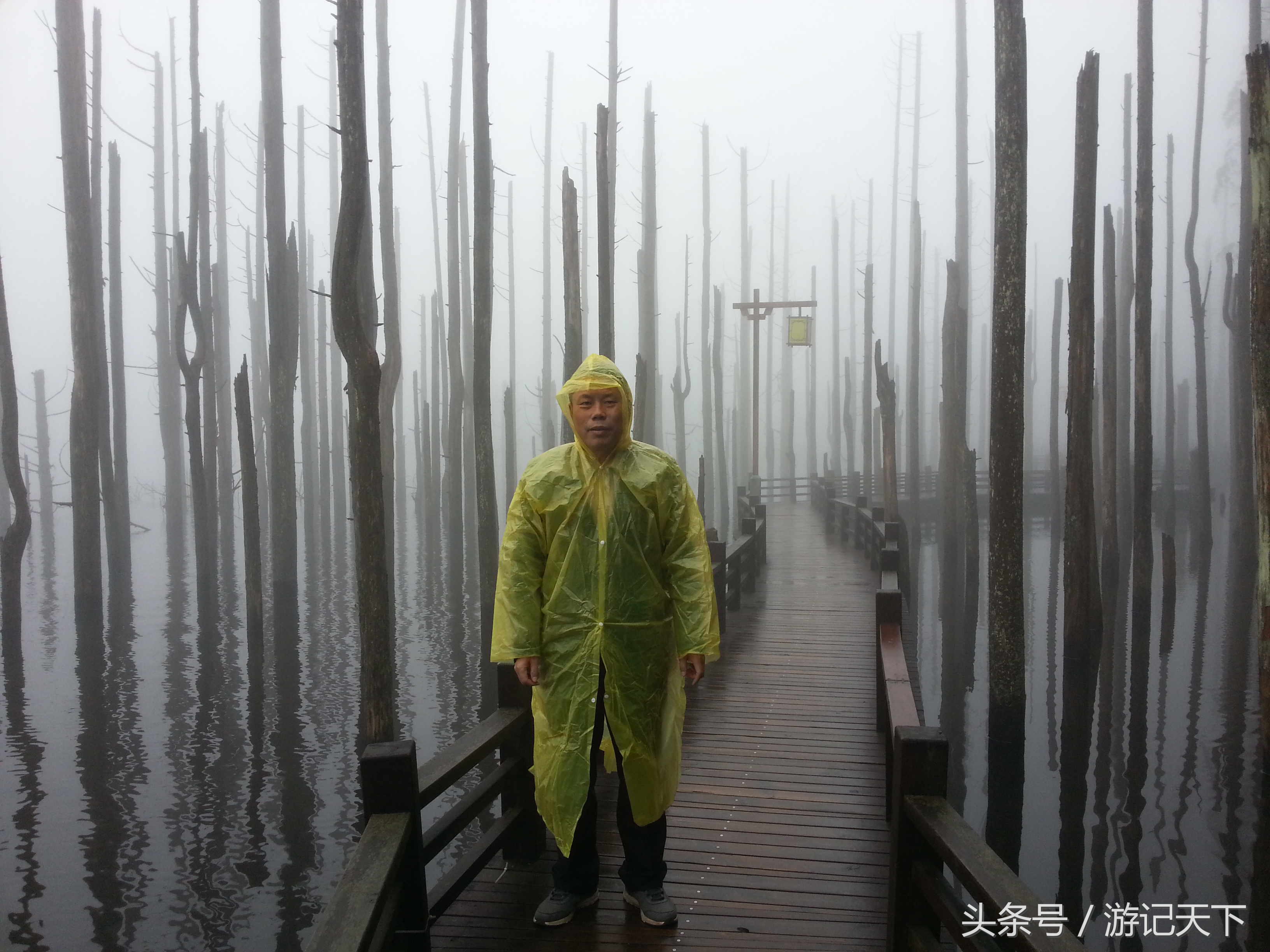 活用三种年卡，乐游三地美景——阿尼亚房车伴我走天涯