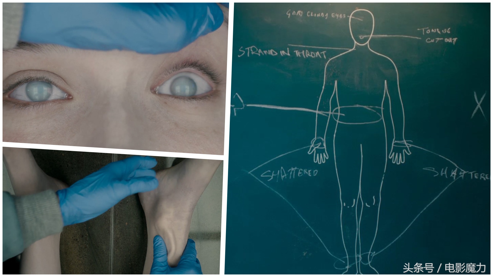 无名女尸恐怖电影,看恐怖电影无名女尸完整版