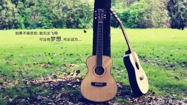 吉他初学者什么样的吉他适合练习,吉他新手入门适合用什么吉他