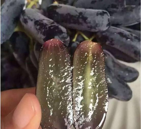 这种蓝宝石葡萄,又叫月光之泪(moondrops),你吃过吗