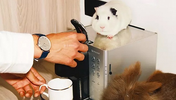 1到50万左右腕表推荐,价位1000-3000的腕表