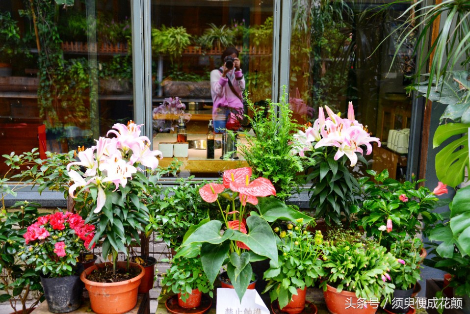 二厂文创公园景点,鹅岭二厂文创公园攻略