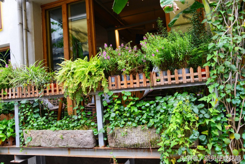 二厂文创公园景点,鹅岭二厂文创公园攻略