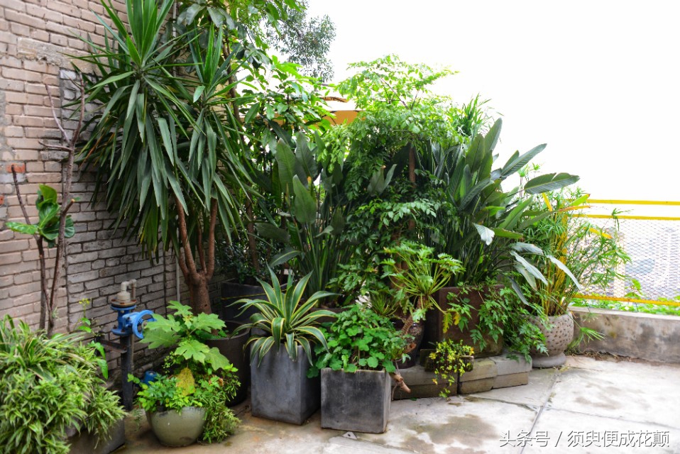 二厂文创公园景点,鹅岭二厂文创公园攻略