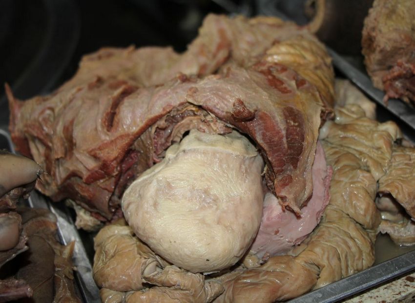 鍋冨笀棣栭槼灞遍倱璁板叏椹村,鍋冨笀棣栭槼灞卞叏椹村