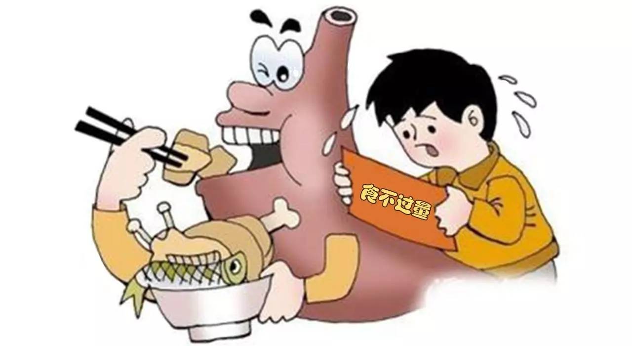 胆囊炎和肝胆湿热有什么关系,肝胆湿热的胆囊有什么症状