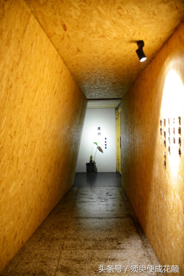 二厂文创公园景点,鹅岭二厂文创公园攻略