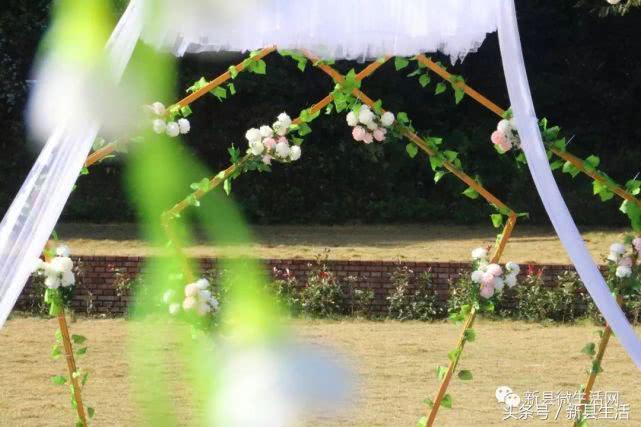 浪漫户外婚礼草坪婚礼,经典户外草坪婚礼