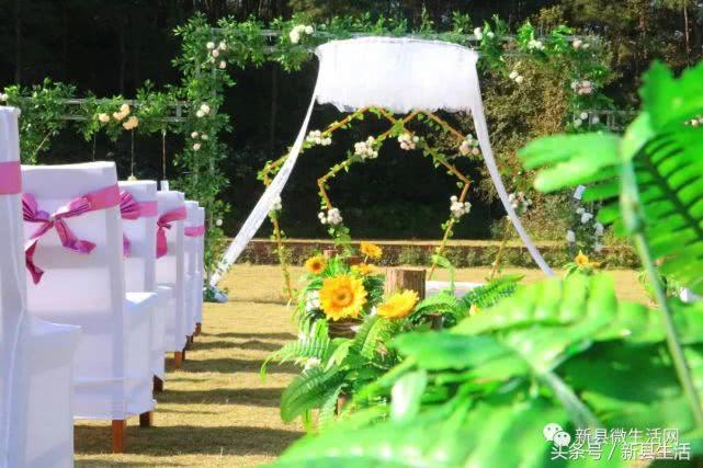 浪漫户外婚礼草坪婚礼,经典户外草坪婚礼