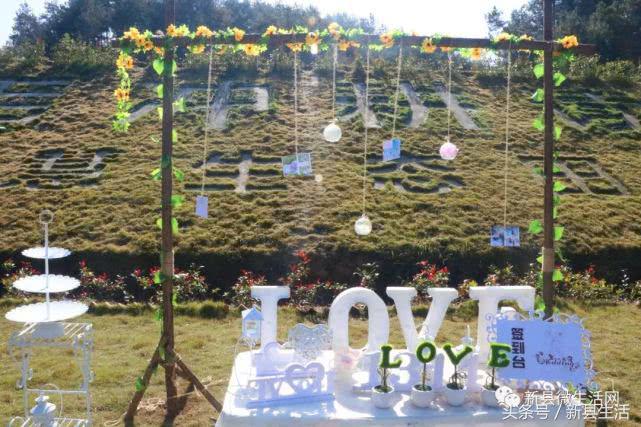 浪漫户外婚礼草坪婚礼,经典户外草坪婚礼