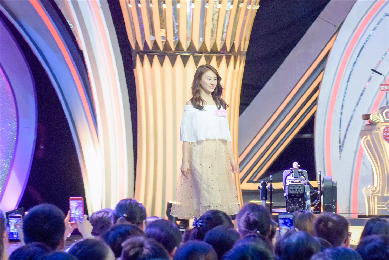 非诚勿扰相亲话术大全,非诚勿扰相亲介绍语录