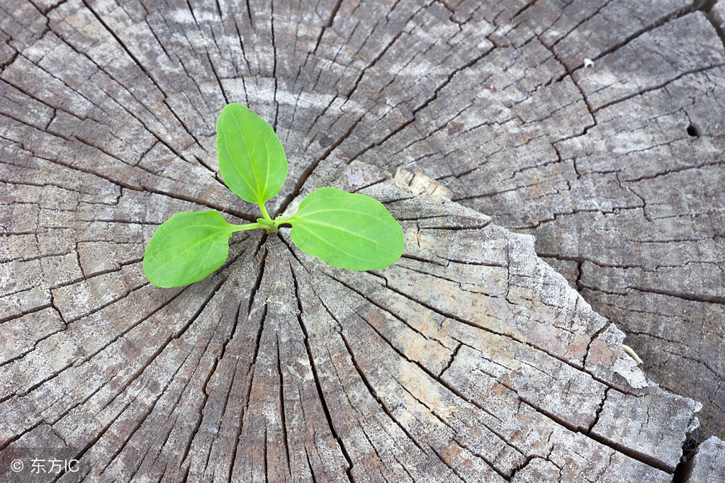 拿得起放得下经典短句,拿得起放得下歌曲