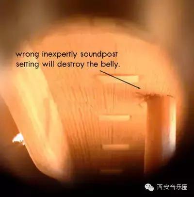 怎么鉴别小提琴好坏,三招教你辨别靠谱小提琴