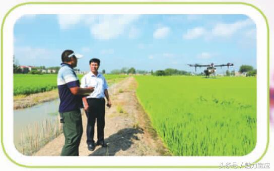 江苏省宝应县各乡镇村庄风景,宝应古村