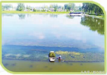 江苏省宝应县各乡镇村庄风景,宝应古村