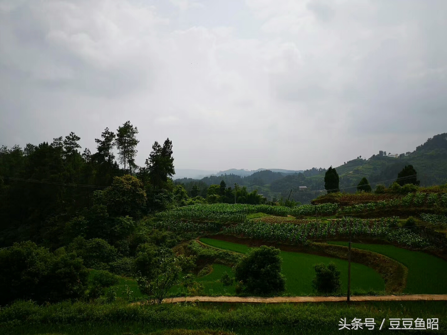 长安奔奔车主真实用车,人生中第一辆新车感悟