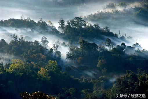 十大普洱茶品牌茶厂,临沧普洱茶十大品牌