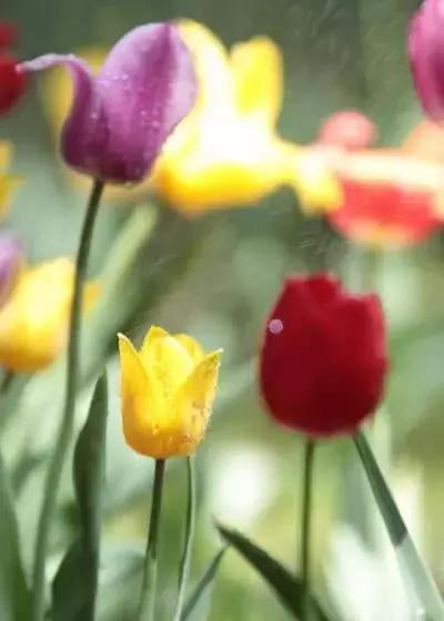 慰藉心灵的人生感悟句句走心,触碰心灵的人生感悟情感语录