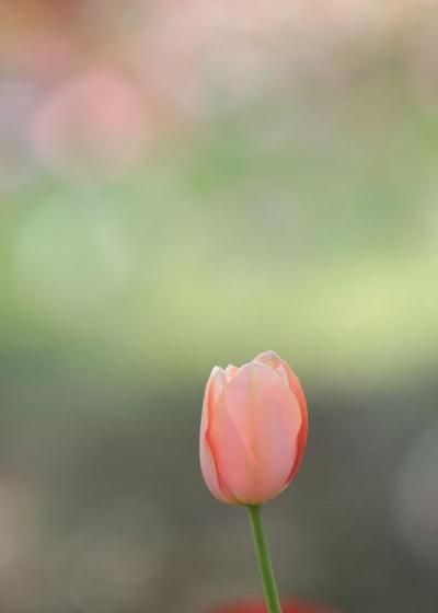 慰藉心灵的人生感悟句句走心,触碰心灵的人生感悟情感语录