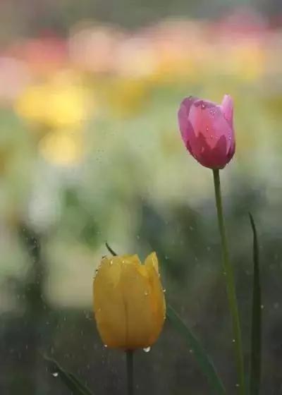 慰藉心灵的人生感悟句句走心,触碰心灵的人生感悟情感语录