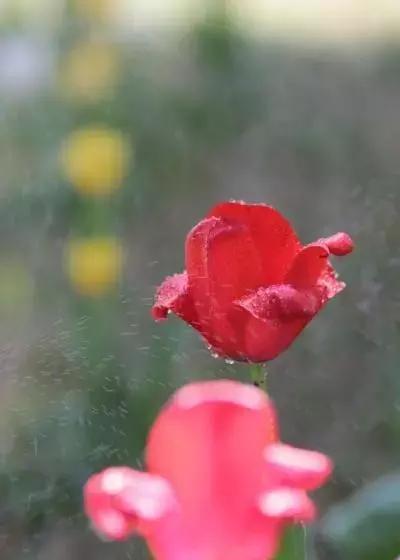 慰藉心灵的人生感悟句句走心,触碰心灵的人生感悟情感语录