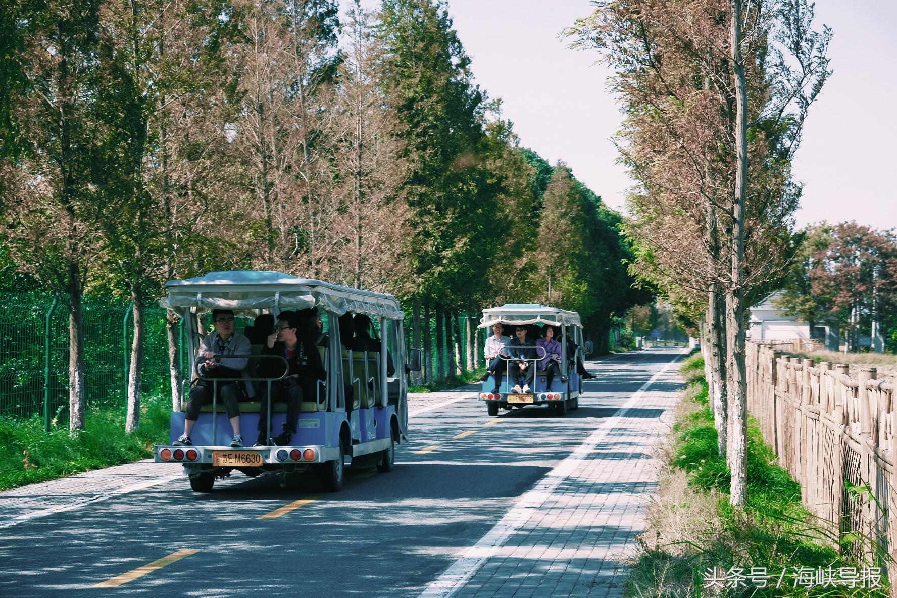 大隐隐于市！这座生态园让你感受江南水乡的农家之美