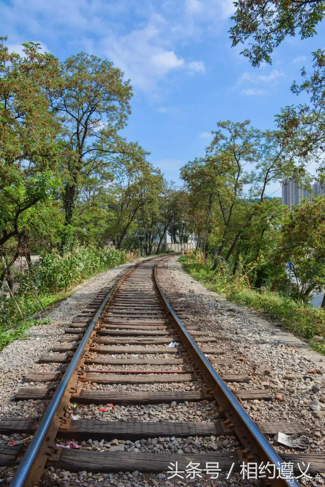 遵义八七厂的照片,遵义八七厂做什么的