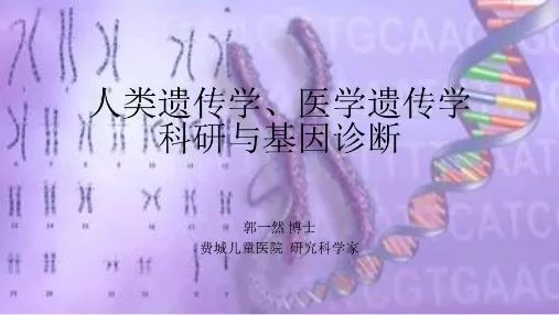 基因科普讲座,生命科学之基因技术