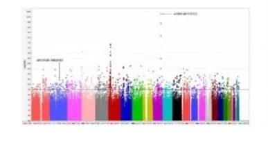 基因科普讲座,生命科学之基因技术