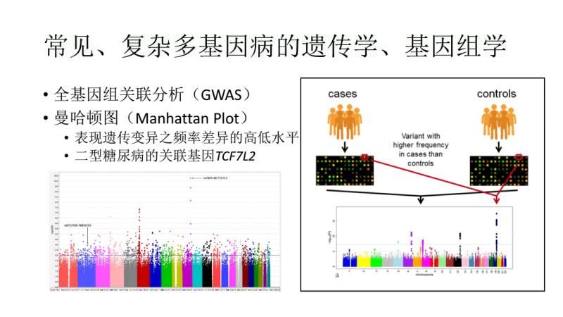 基因科普讲座,生命科学之基因技术