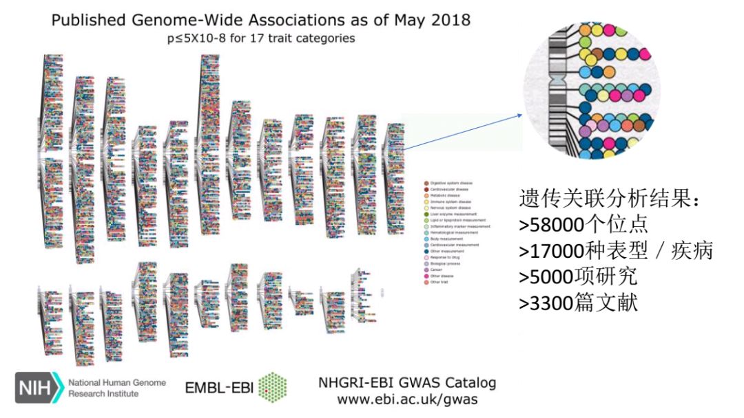 基因科普讲座,生命科学之基因技术