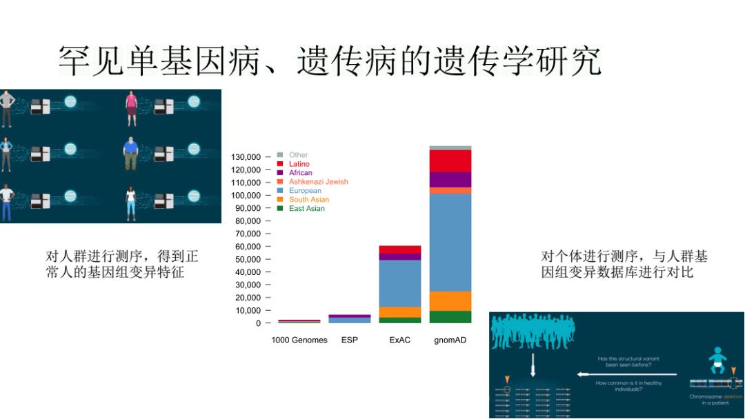 基因科普讲座,生命科学之基因技术