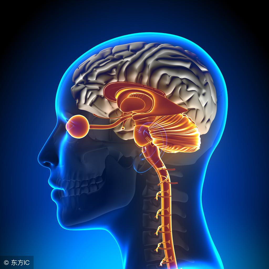 癫痫病人如何预防脑卒中,癫痫是脑梗引起的好治吗