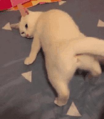 你离女神只差一个翘臀的距离!