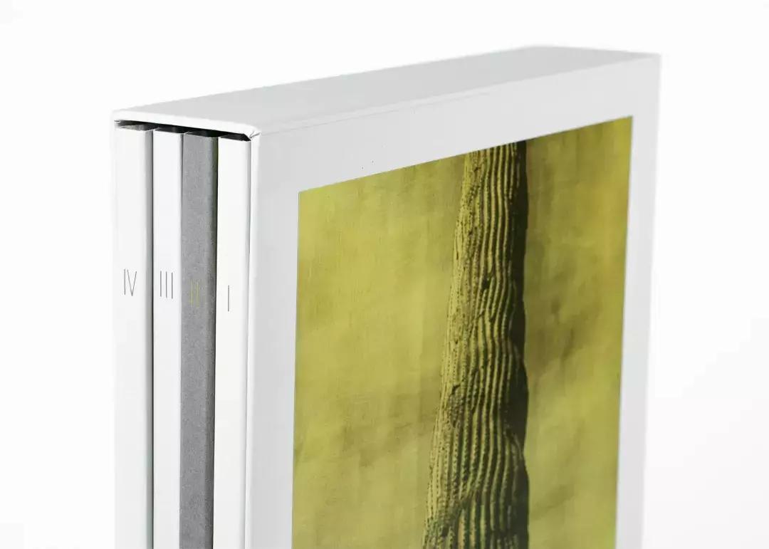 装帧设计最好看的书,世界最美书籍装帧设计