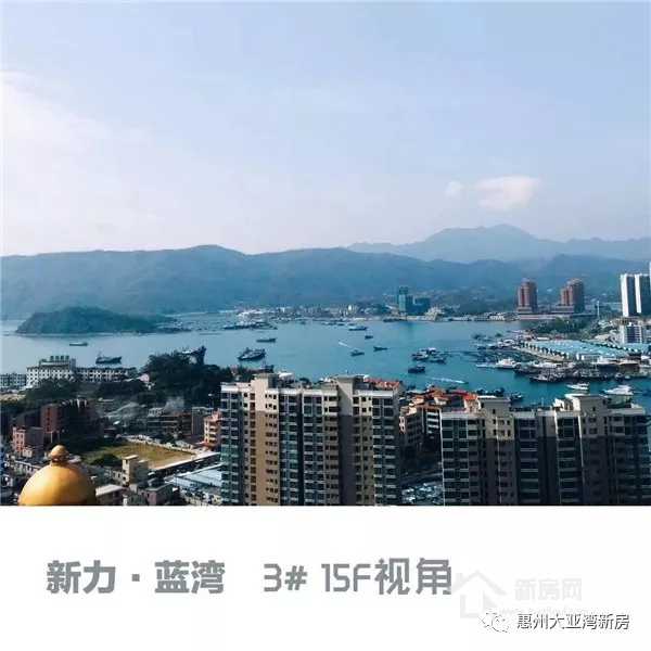 大亚湾澳头新力琥珀园,惠州大亚湾中心区新力东园