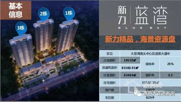 大亚湾澳头新力琥珀园,惠州大亚湾中心区新力东园