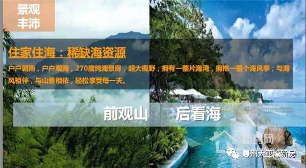 大亚湾澳头新力琥珀园,惠州大亚湾中心区新力东园