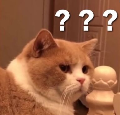 砰砰！从7楼坠下，将车顶砸出一个坑！它倒没事！