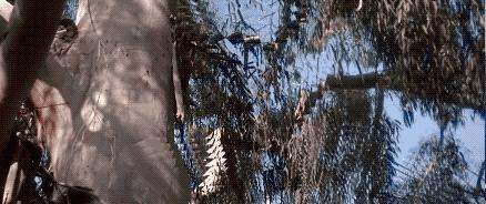 第一部铁血战士电影,铁血战士系列最值得看的