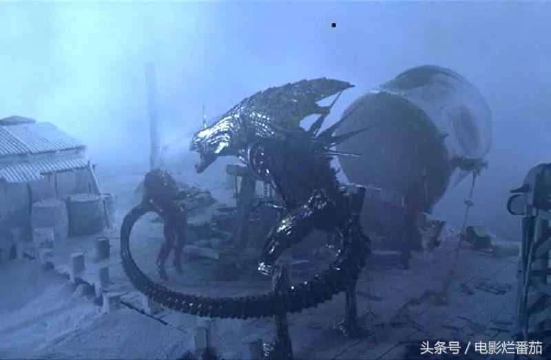 第一部铁血战士电影,铁血战士系列最值得看的