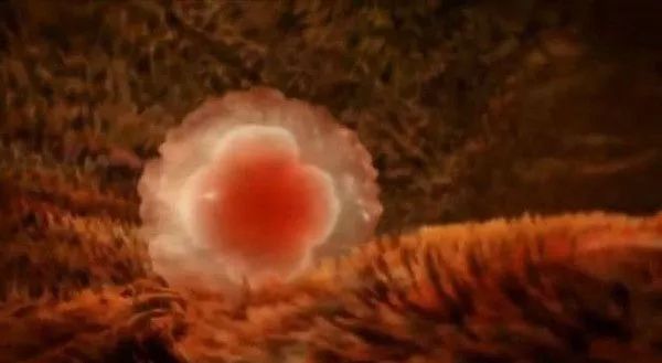 hcg2000做阴超看得出宫内宫外吗,hcg达到2000才能看宫内外吗